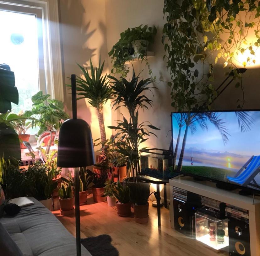 Habitación en casa particular Urban Jungle Oasis In Queens!