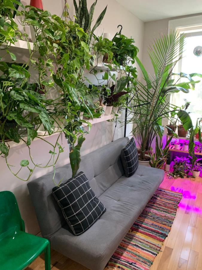 Urban Jungle Oasis In Queens! Nueva York