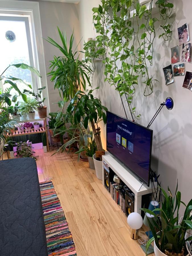 Urban Jungle Oasis In Queens! Habitación en casa particular Nueva York